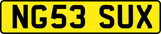 NG53SUX