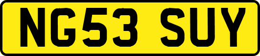 NG53SUY
