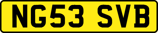 NG53SVB