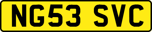 NG53SVC
