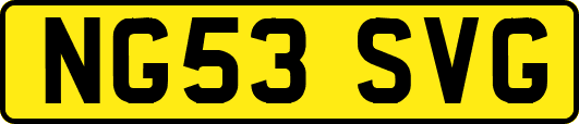 NG53SVG