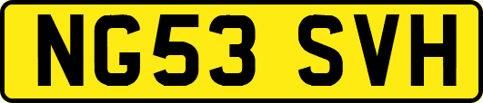 NG53SVH