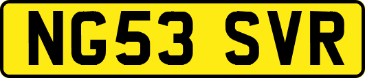NG53SVR