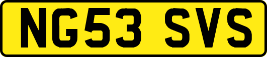 NG53SVS