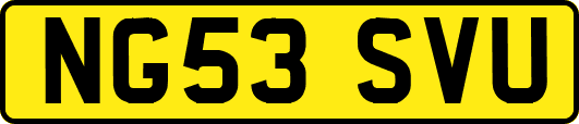 NG53SVU