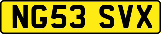 NG53SVX