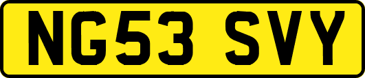 NG53SVY