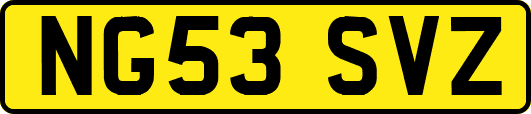 NG53SVZ