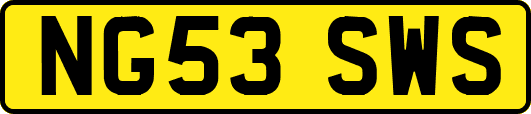 NG53SWS