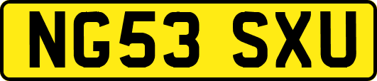 NG53SXU