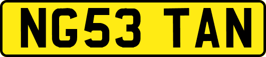NG53TAN