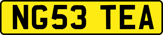 NG53TEA