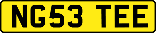 NG53TEE
