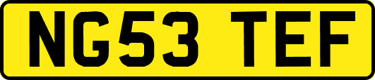 NG53TEF