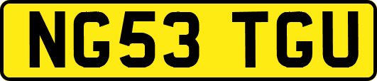 NG53TGU