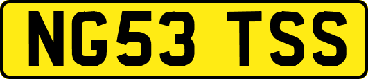 NG53TSS