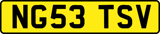 NG53TSV
