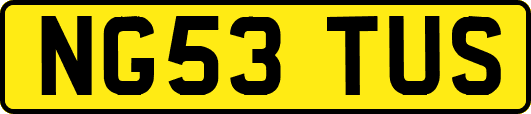NG53TUS