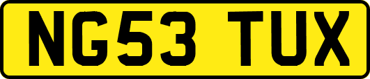 NG53TUX