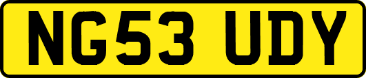 NG53UDY