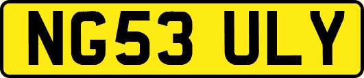 NG53ULY