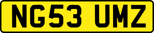 NG53UMZ