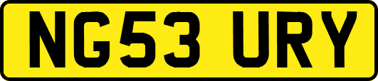 NG53URY