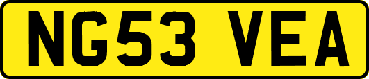NG53VEA