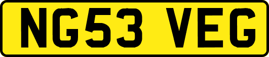 NG53VEG