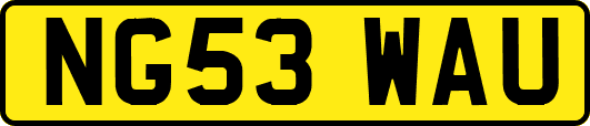 NG53WAU