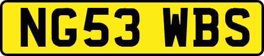 NG53WBS