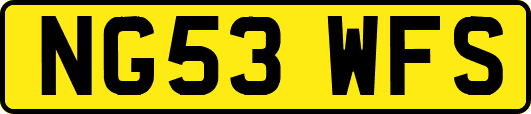 NG53WFS