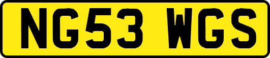 NG53WGS