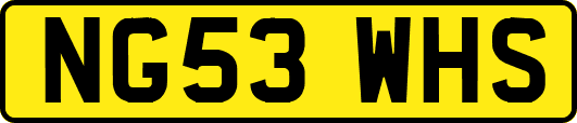 NG53WHS
