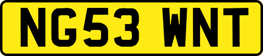 NG53WNT