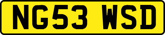NG53WSD