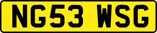 NG53WSG