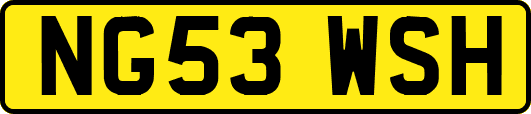 NG53WSH