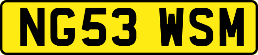 NG53WSM