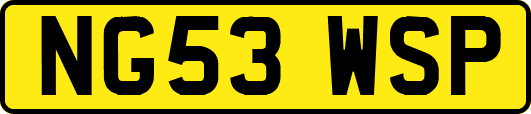 NG53WSP