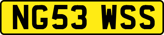 NG53WSS