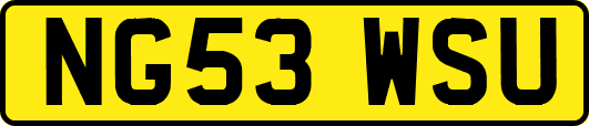 NG53WSU