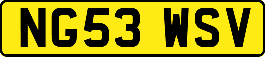 NG53WSV