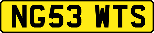 NG53WTS