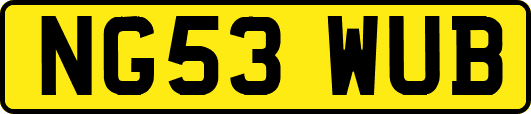 NG53WUB
