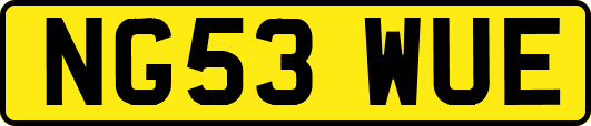 NG53WUE