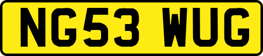 NG53WUG
