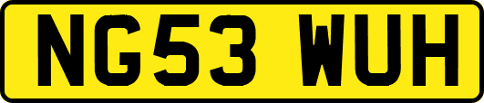 NG53WUH
