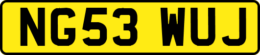 NG53WUJ