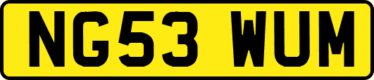 NG53WUM